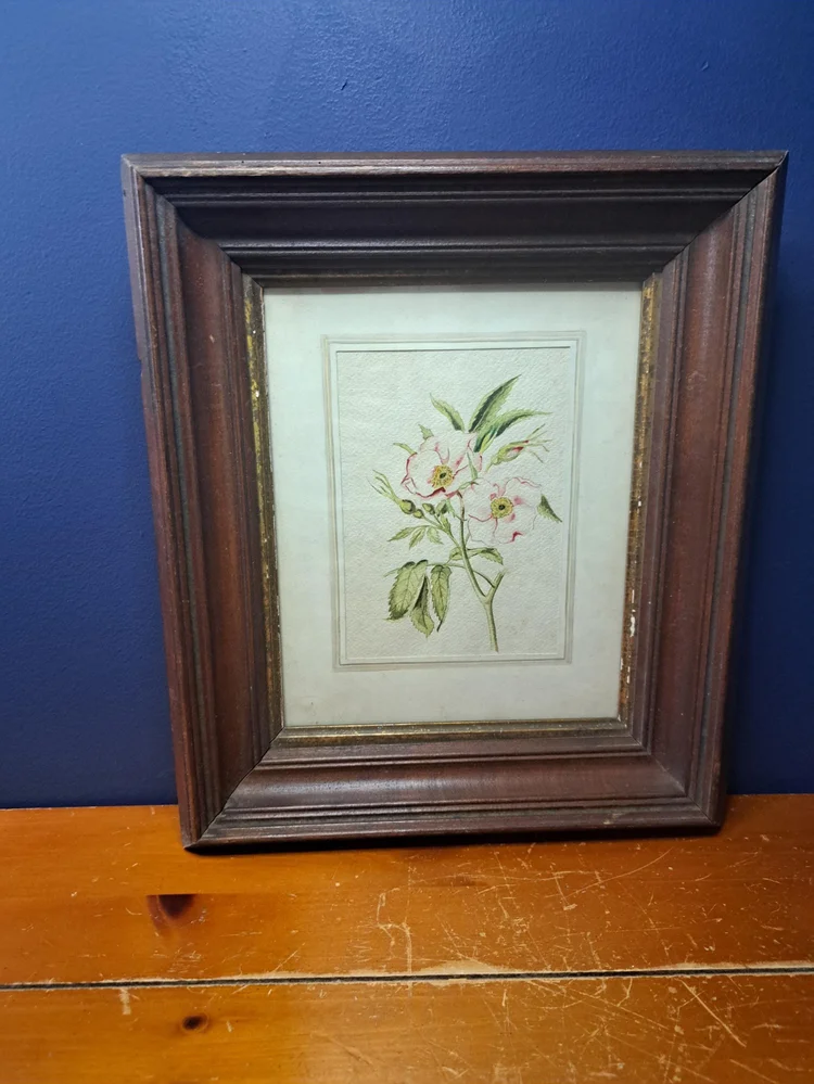 Vintage Watercolor of a Rose, Light Pink, Antique Wood Frame with Gold Trim, Light Pink Rose, Antique Floral Watercolor in Wood Frame